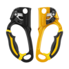 Petzl Ascension